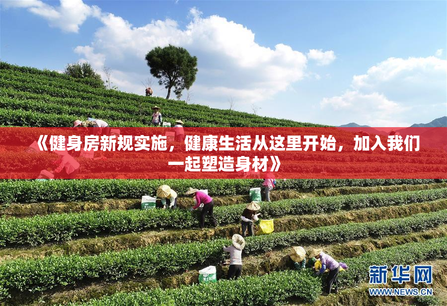 《健身房新规实施，健康生活从这里开始，加入我们一起塑造身材》