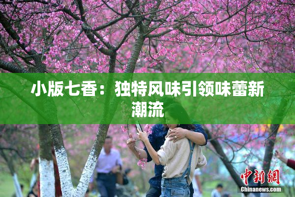 小版七香：独特风味引领味蕾新潮流