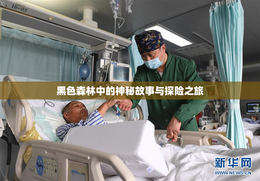 黑色森林中的神秘故事与探险之旅