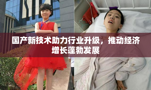 国产新技术助力行业升级，推动经济增长蓬勃发展