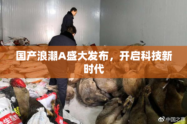 国产浪潮A盛大发布，开启科技新时代