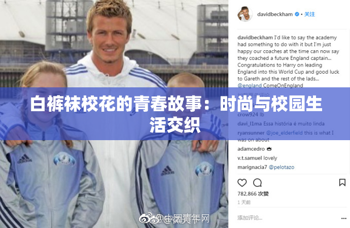 白裤袜校花的青春故事：时尚与校园生活交织