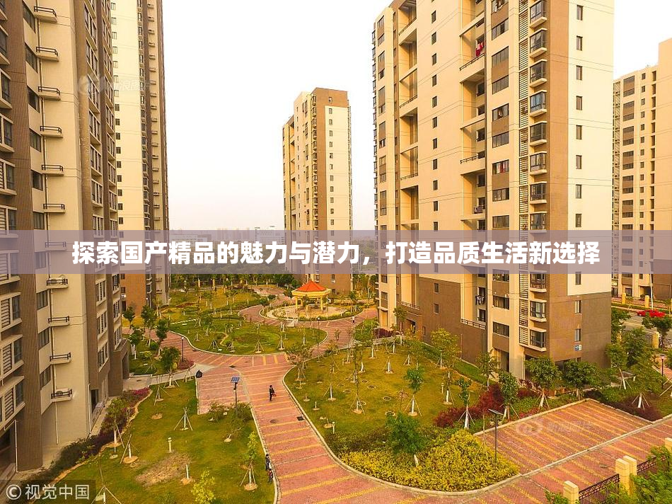 探索国产精品的魅力与潜力，打造品质生活新选择