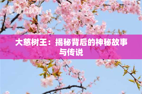 大慈树王：揭秘背后的神秘故事与传说