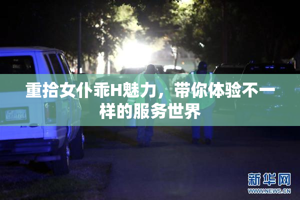 重拾女仆乖H魅力，带你体验不一样的服务世界