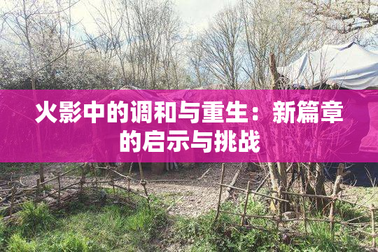 火影中的调和与重生：新篇章的启示与挑战