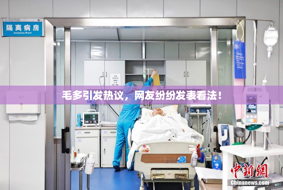 毛多引发热议，网友纷纷发表看法！