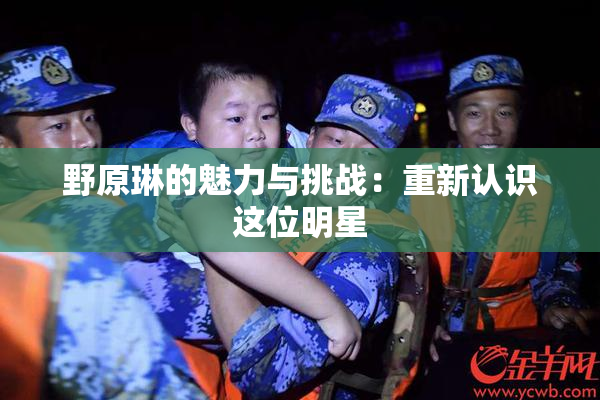 野原琳的魅力与挑战：重新认识这位明星