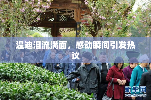 温迪泪流满面，感动瞬间引发热议