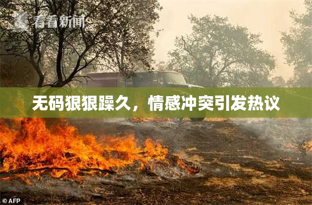 无码狠狠躁久，情感冲突引发热议