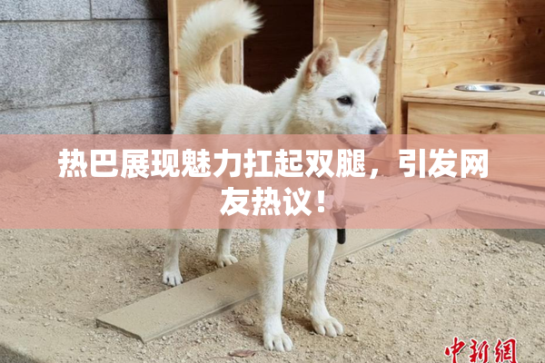 热巴展现魅力扛起双腿，引发网友热议！