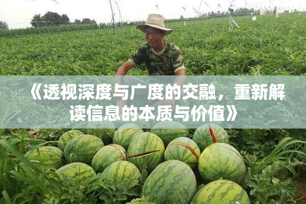 《透视深度与广度的交融，重新解读信息的本质与价值》