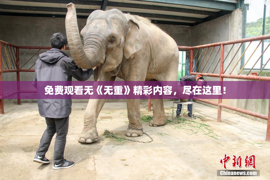 免费观看无《无重》精彩内容，尽在这里！
