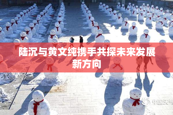 陆沉与黄文纯携手共探未来发展新方向