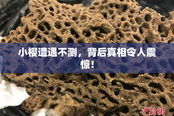 小樱遭遇不测，背后真相令人震惊！