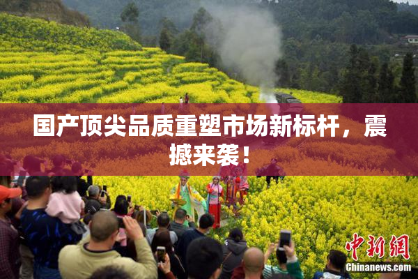 国产顶尖品质重塑市场新标杆，震撼来袭！