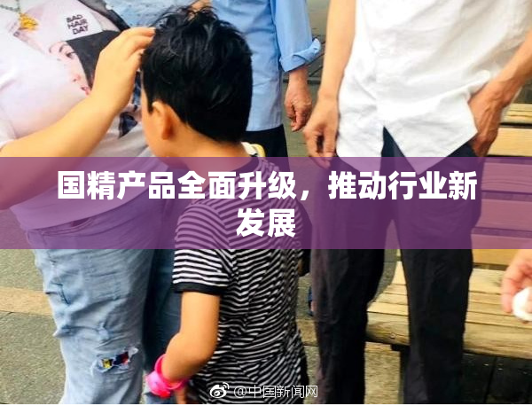 国精产品全面升级，推动行业新发展