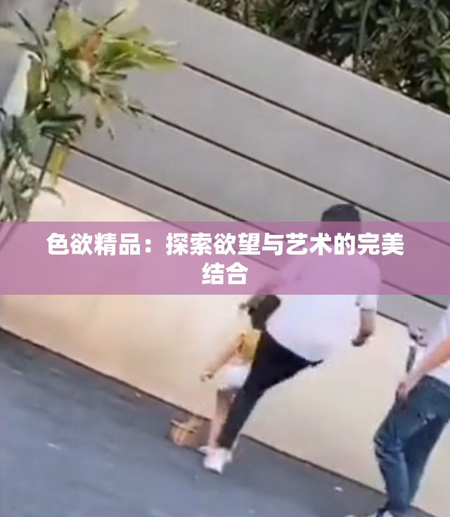 色欲精品：探索欲望与艺术的完美结合