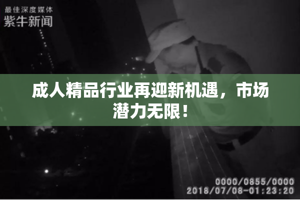 成人精品行业再迎新机遇，市场潜力无限！