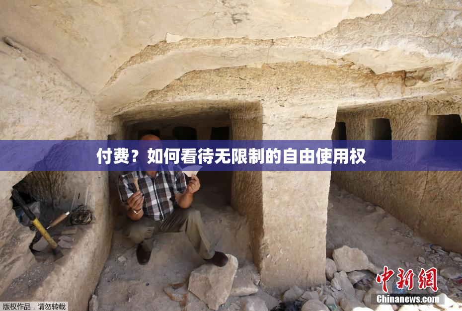 付费？如何看待无限制的自由使用权