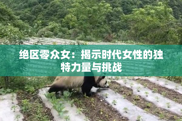 绝区零众女：揭示时代女性的独特力量与挑战