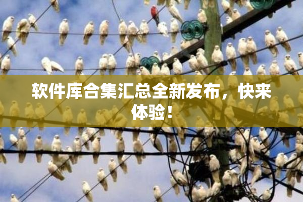软件库合集汇总全新发布，快来体验！
