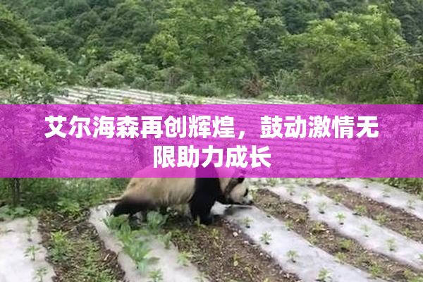 艾尔海森再创辉煌，鼓动激情无限助力成长
