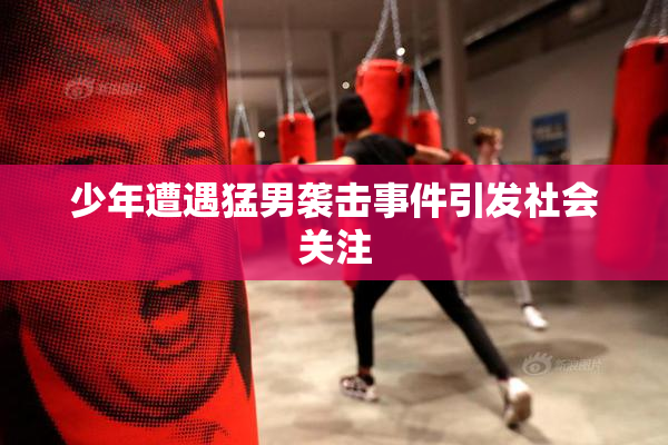 少年遭遇猛男袭击事件引发社会关注