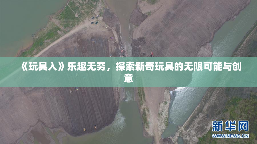 《玩具入》乐趣无穷，探索新奇玩具的无限可能与创意