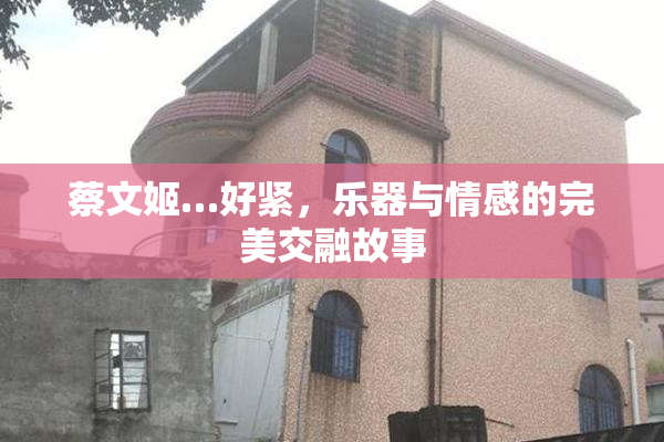 蔡文姬…好紧，乐器与情感的完美交融故事