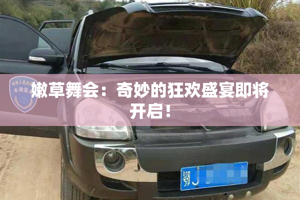 嫩草舞会：奇妙的狂欢盛宴即将开启！