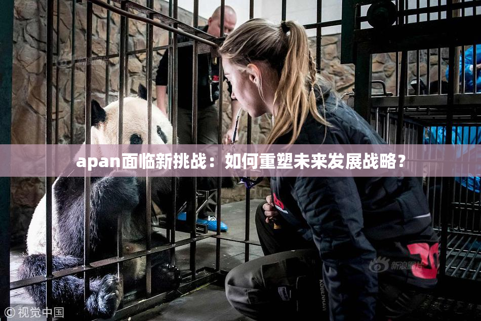 apan面临新挑战：如何重塑未来发展战略？