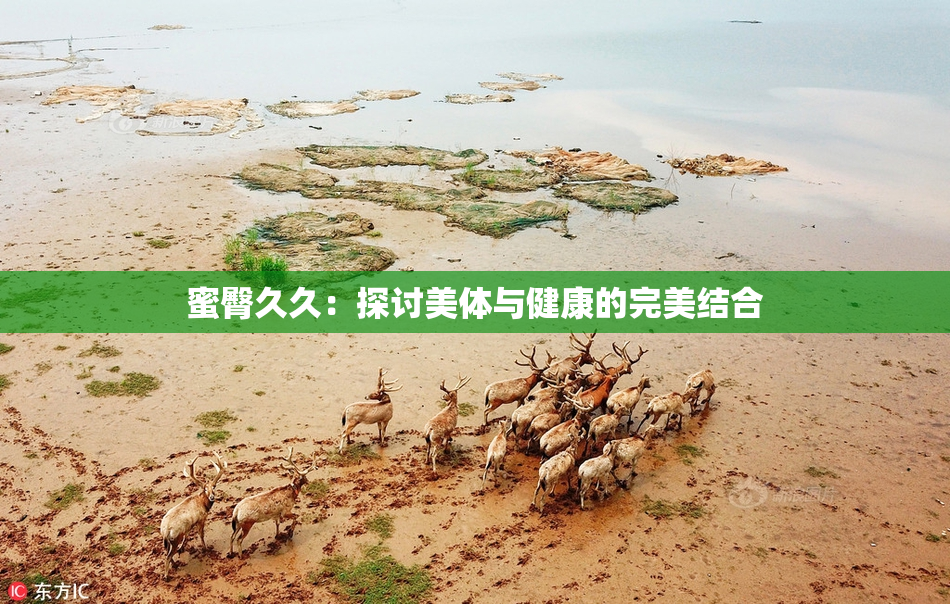 蜜臀久久：探讨美体与健康的完美结合