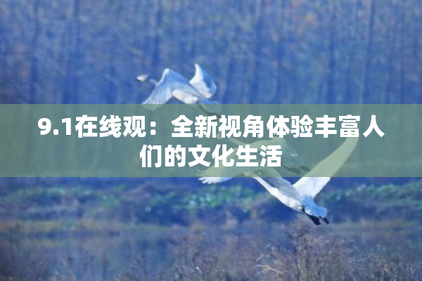 9.1在线观：全新视角体验丰富人们的文化生活