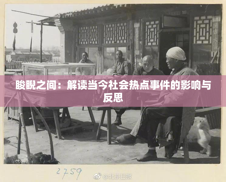 睃睨之间：解读当今社会热点事件的影响与反思