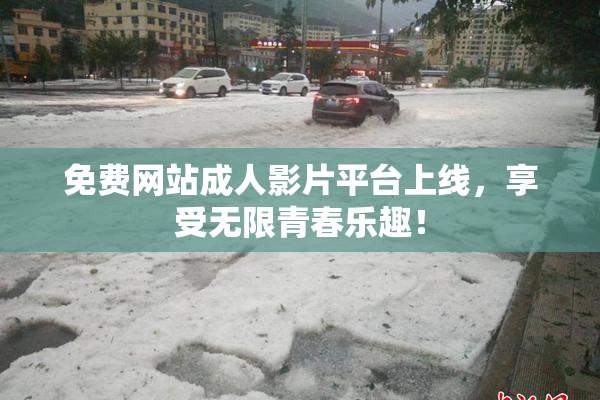免费网站成人影片平台上线，享受无限青春乐趣！