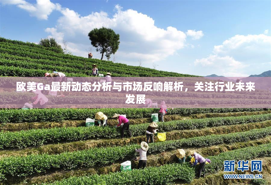 欧美Ga最新动态分析与市场反响解析，关注行业未来发展