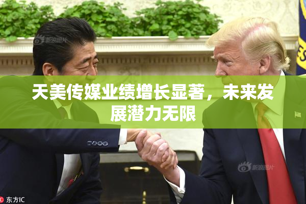 天美传媒业绩增长显著，未来发展潜力无限