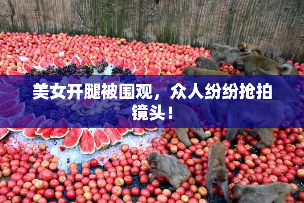 美女开腿被围观，众人纷纷抢拍镜头！