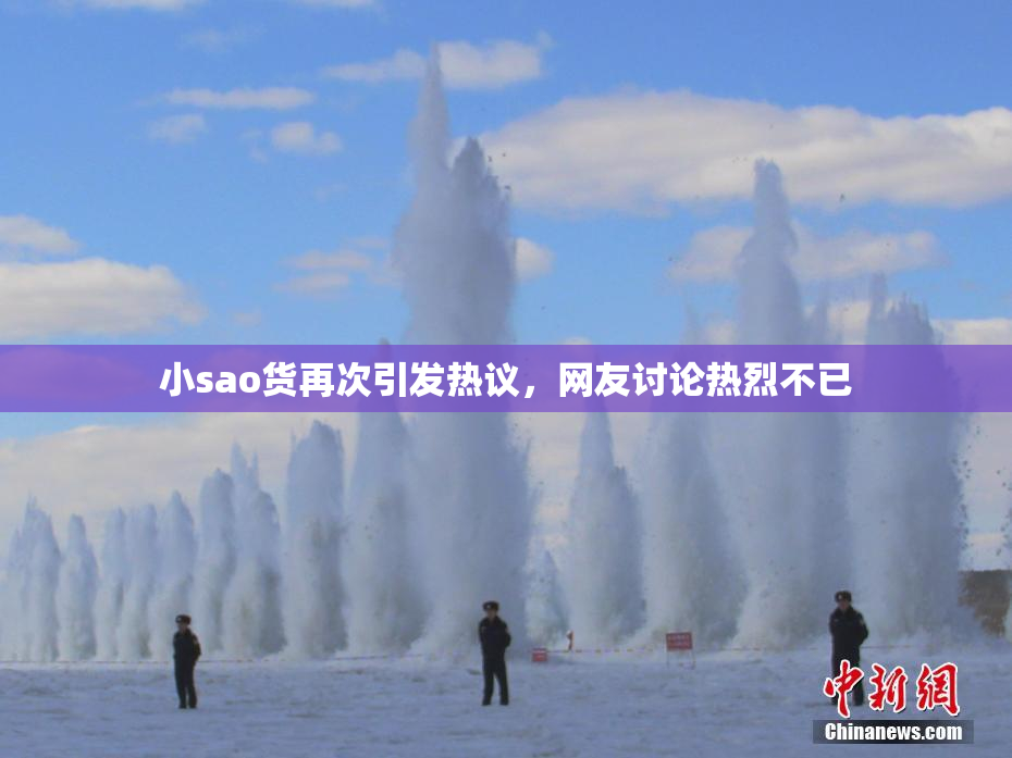 小sao货再次引发热议，网友讨论热烈不已