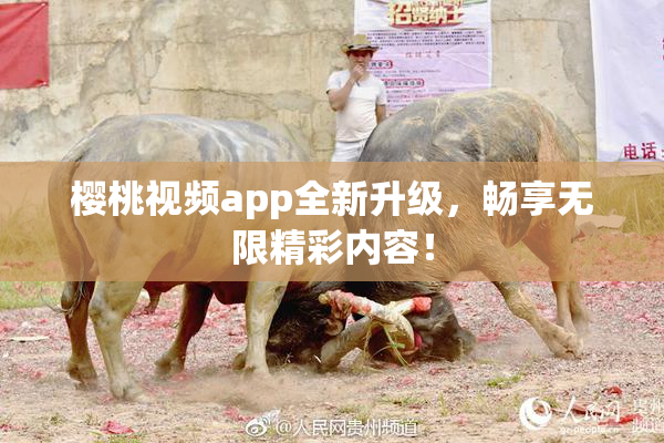 樱桃视频app全新升级，畅享无限精彩内容！