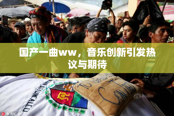 国产一曲ww，音乐创新引发热议与期待