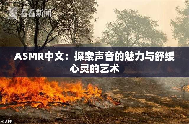 ASMR中文：探索声音的魅力与舒缓心灵的艺术