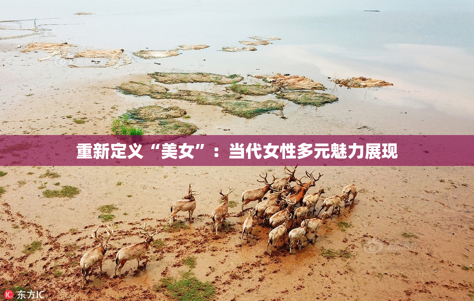 重新定义“美女”：当代女性多元魅力展现
