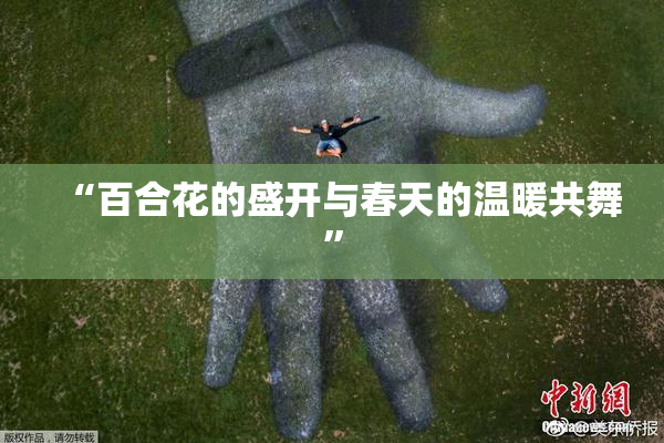 “百合花的盛开与春天的温暖共舞”