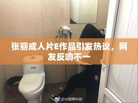 张丽成人片E作品引发热议，网友反响不一