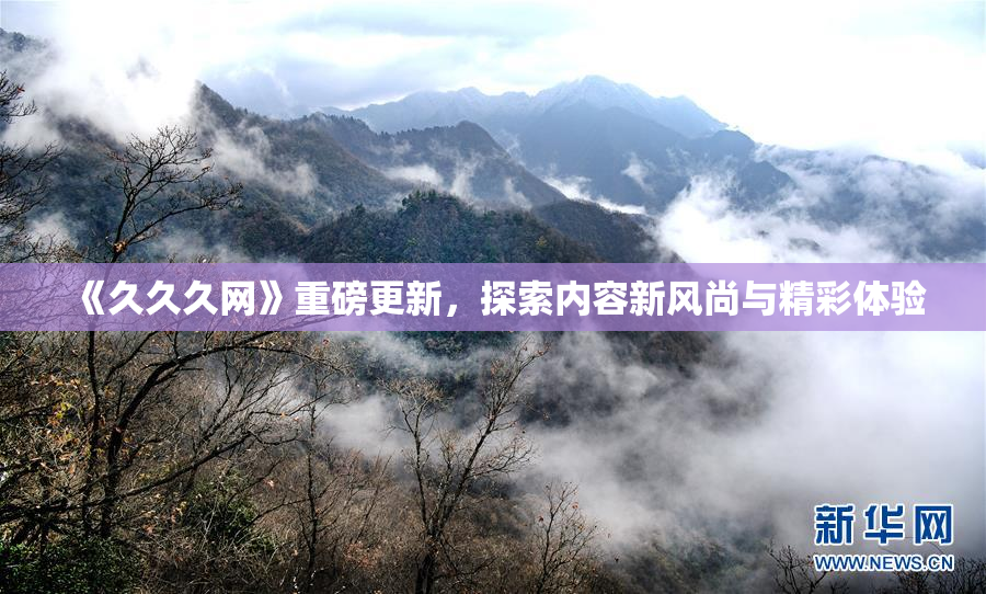 《久久久网》重磅更新，探索内容新风尚与精彩体验