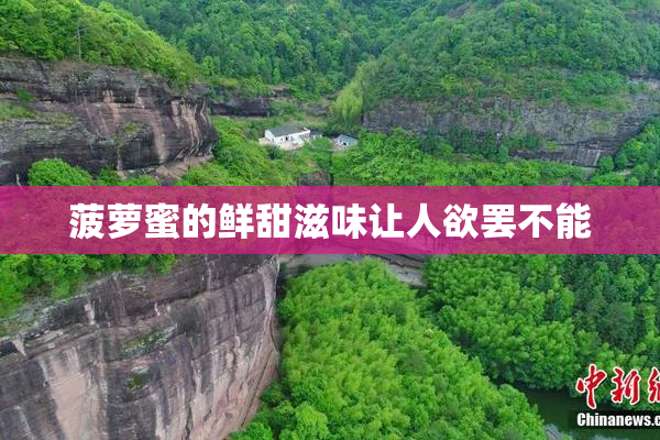 菠萝蜜的鲜甜滋味让人欲罢不能