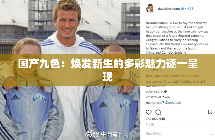 国产九色：焕发新生的多彩魅力逐一呈现