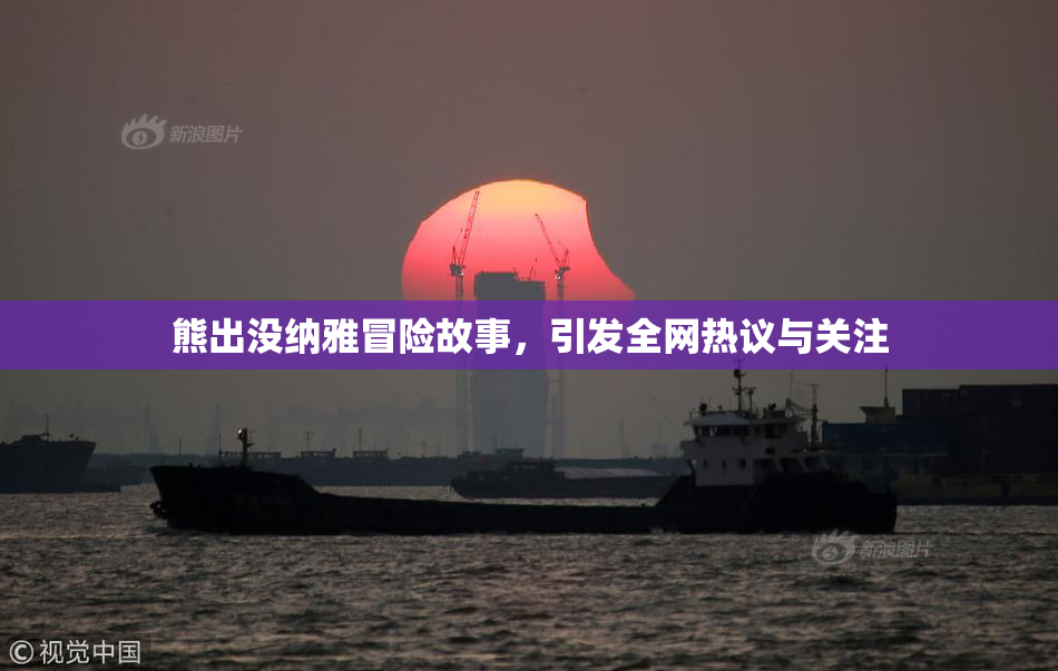 熊出没纳雅冒险故事，引发全网热议与关注